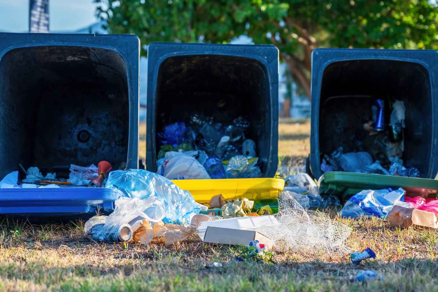 Basement Cleanout Services in Julesburg, CO